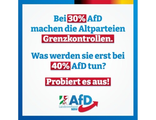 ++ AfD wirkt: Ampel will JETZT DOCH Grenzkontrollen! ++