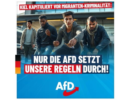 ++ Kiel kapituliert vor Migranten-Kriminalität: Nur die AfD setzt unsere Regeln durch! ++