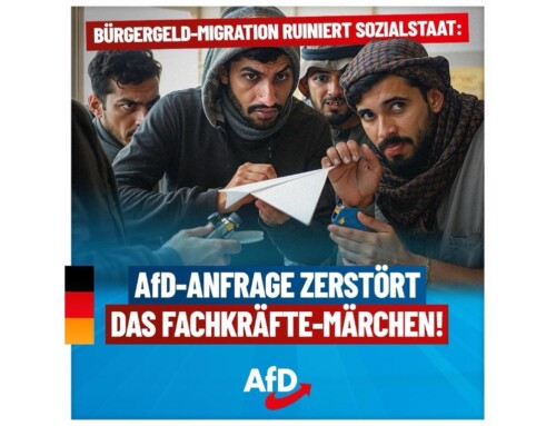 ++ Bürgergeld-Migration ruiniert Sozialstaat: AfD-Anfrage zerstört das Fachkräfte-Märchen! ++