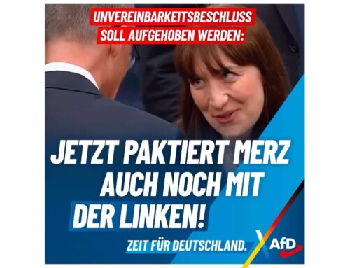 +++ Unvereinbarkeitsbeschluss soll aufgehoben werden: Jetzt paktiert Merz auch noch mit der Linken! +++