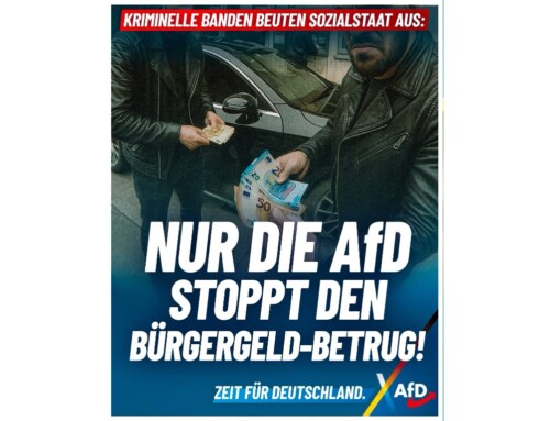 ++ Kriminelle Banden beuten Sozialstaat aus – Nur die AfD stoppt den Bürgergeld-Betrug! ++