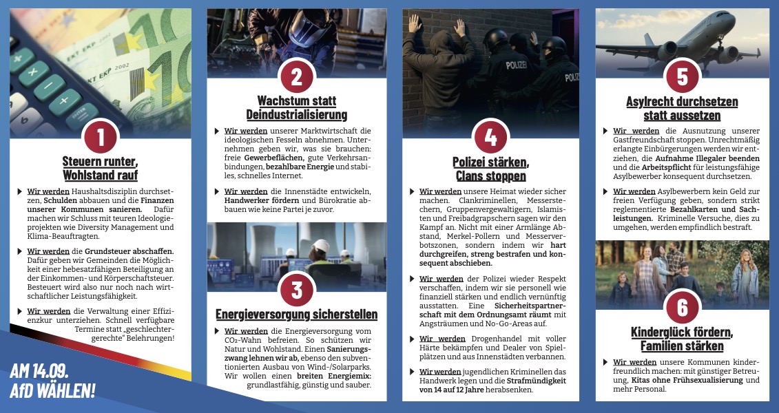 Programmflyer back