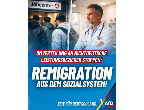++ Umverteilung an nichtdeutsche Leistungsbezieher stoppen: Remigration aus dem Sozialsystem! ++