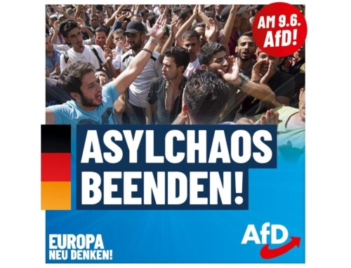 Wusstest Du, wie die AfD das Asylchaos beenden will?