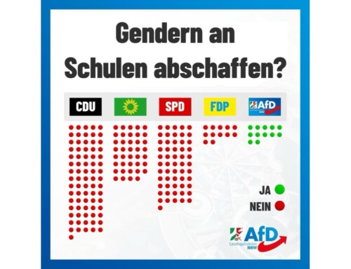 +++ Frisch aus dem Landtag: Nur AfD für korrekte Schreibweise an Schulen! +++